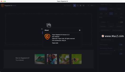 Topaz Gigapixel AI 6 Free Download
